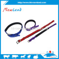 Aidi Pet Collar nylon padded dog collar